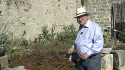 Herr Holger Dopp